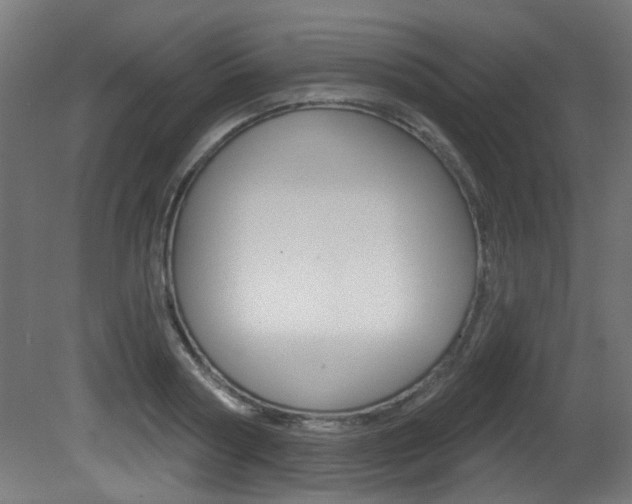 X0000081420794200701120943