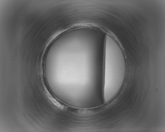 X0000081420795200701120943