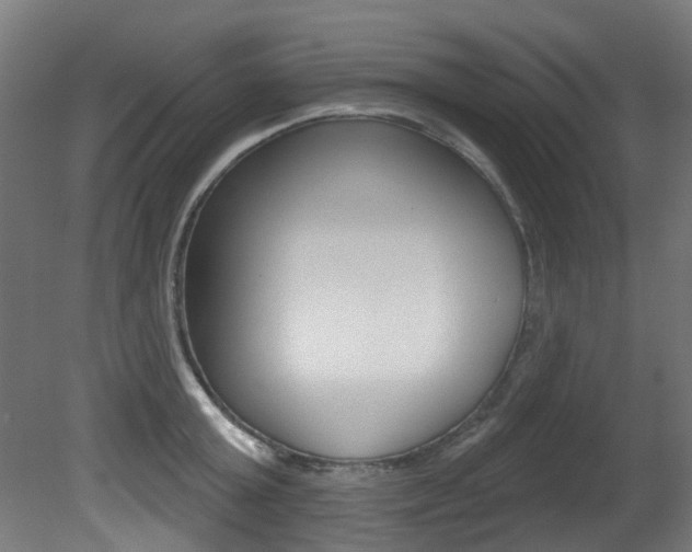 X0000081420803200701120943