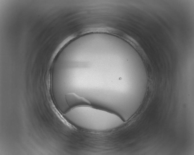 X0000081420804200701120943