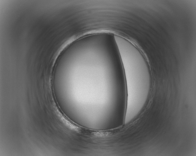 X0000081420805200701120943