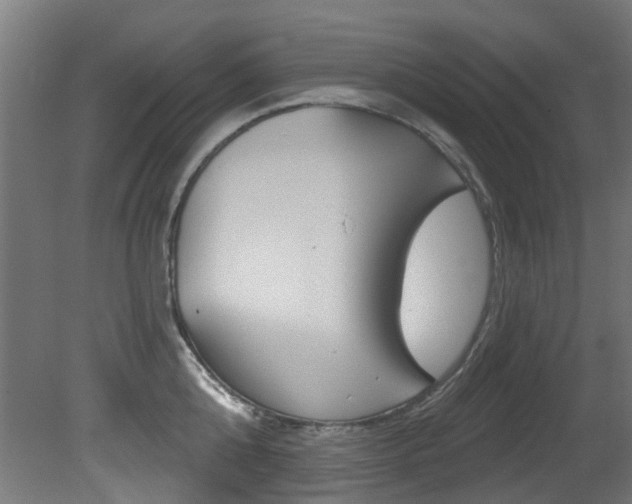 X0000081420808200701120943