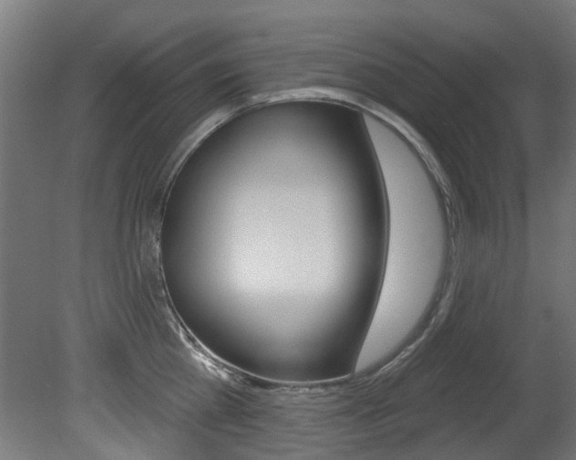 X0000081420809200701120943