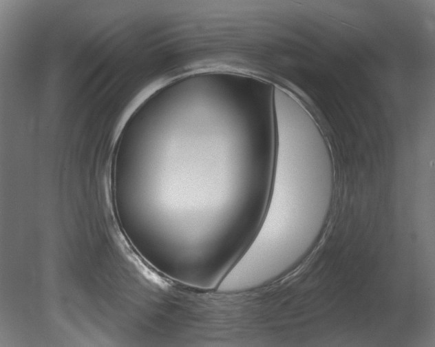 X0000081420812200701120943