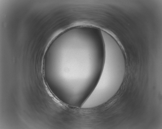 X0000081420815200701120943