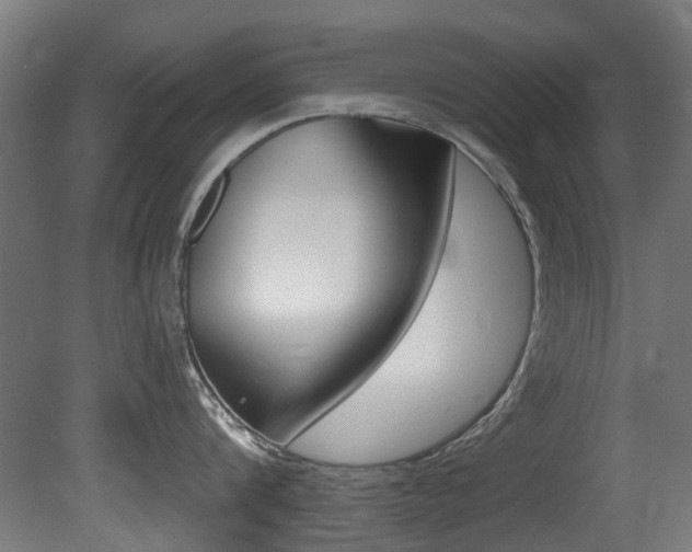 X0000081420816200701120943