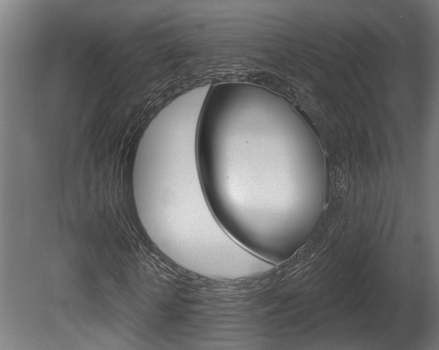 X0000081420818200701120942