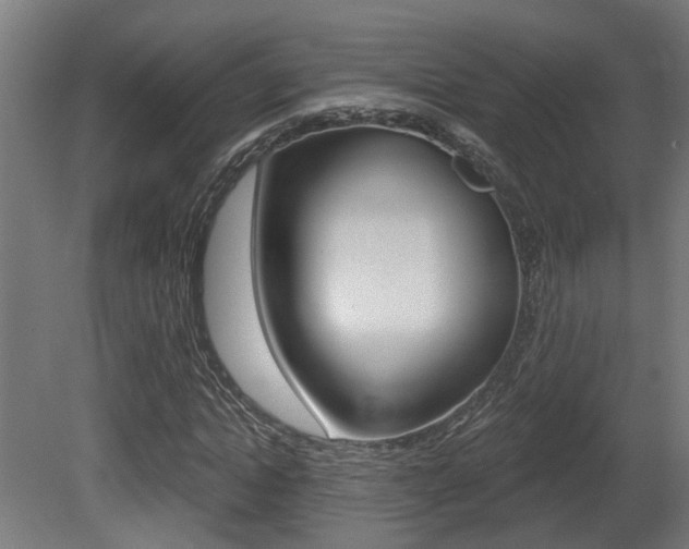 X0000081420822200701120942