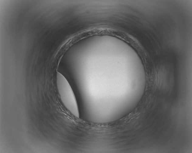 X0000081420823200701120942