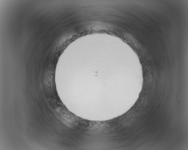 X0000081420824200701120942