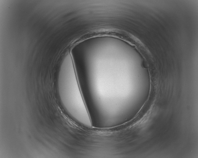 X0000081420825200701120942