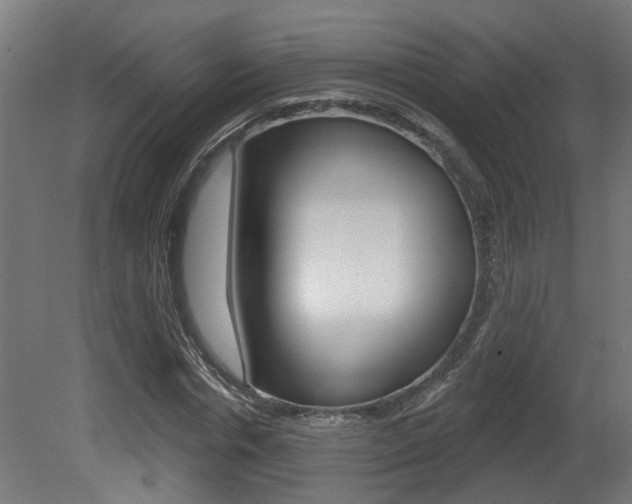 X0000081420826200701120942