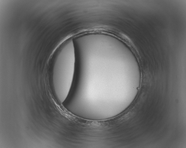 X0000081420827200701120942