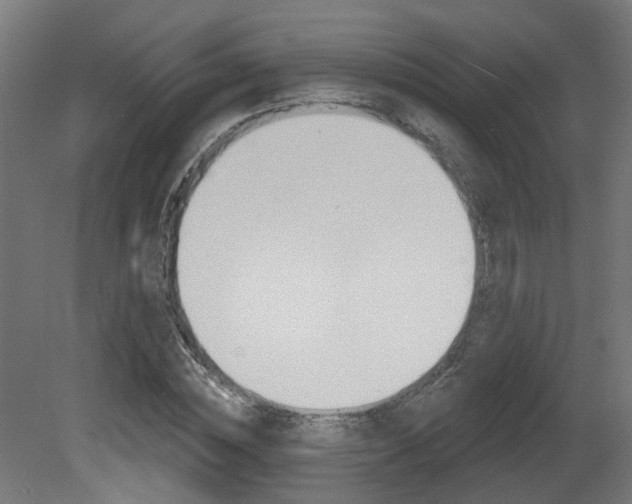 X0000081420828200701120942