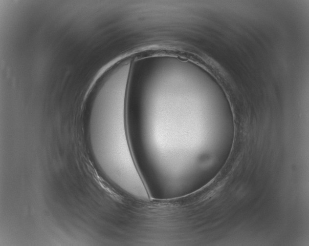 X0000081420830200701120942