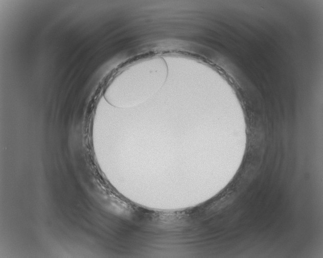 X0000081420832200701120942