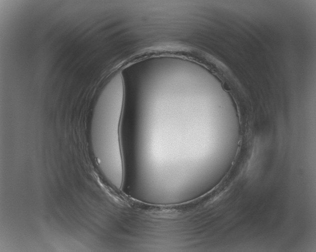 X0000081420833200701120942