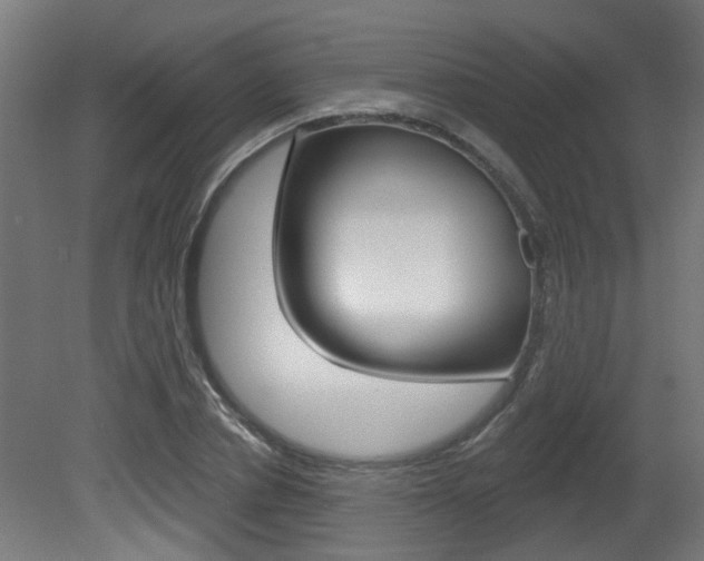X0000081420834200701120942