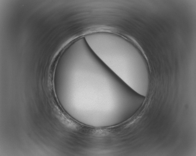 X0000081420835200701120942