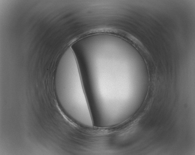 X0000081420841200701120942