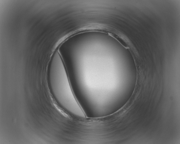 X0000081420842200701120942