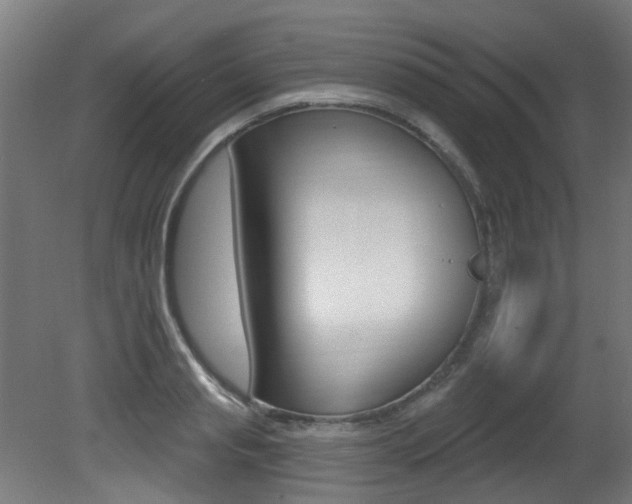 X0000081420845200701120942
