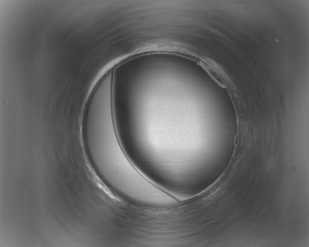 X0000081420846200701120942