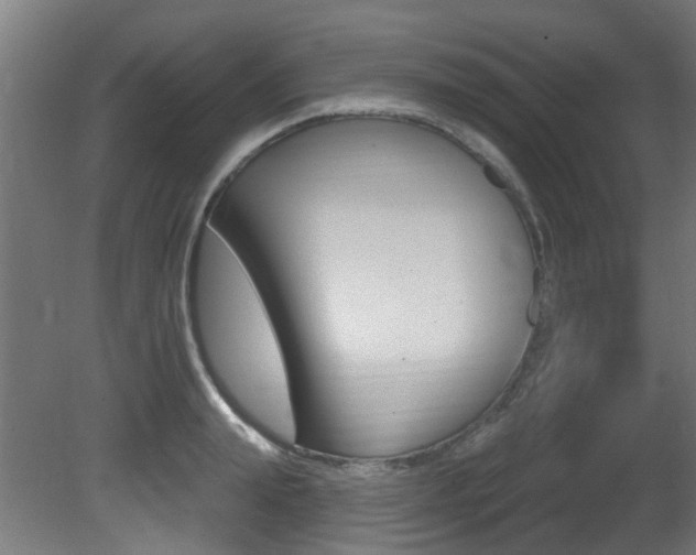 X0000081420847200701120942