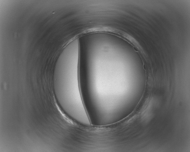 X0000081420849200701120942