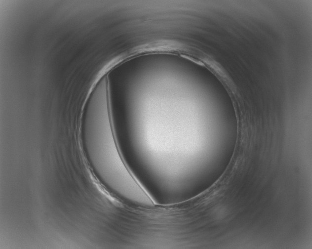 X0000081420850200701120942