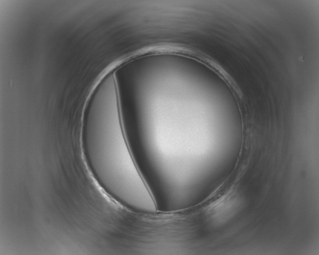 X0000081420853200701120942