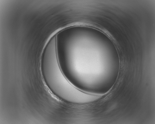 X0000081420854200701120943