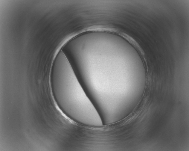 X0000081420855200701120943