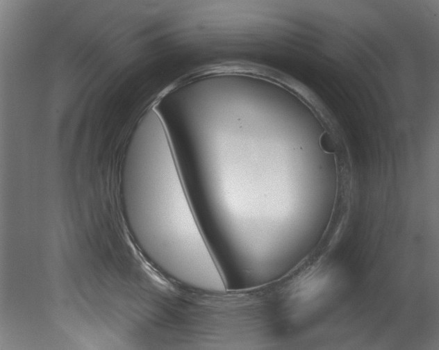 X0000081420857200701120943