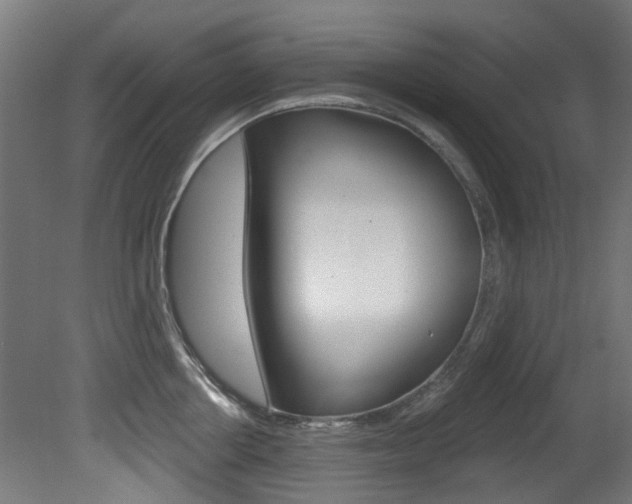X0000081420858200701120943