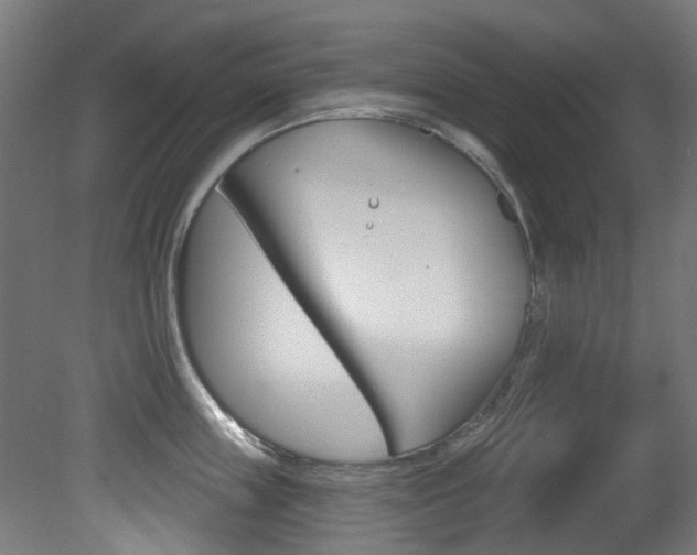X0000081420859200701120943