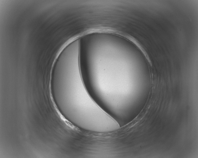 X0000081420861200701120943