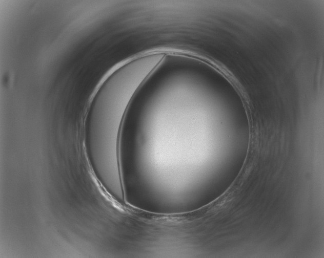 X0000081420862200701120943