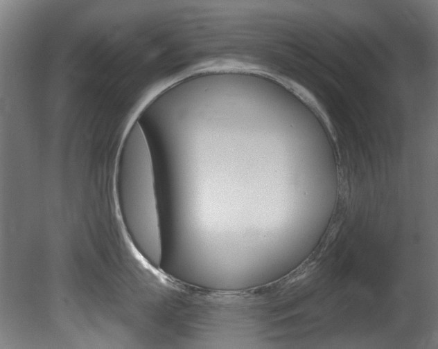 X0000081420863200701120943