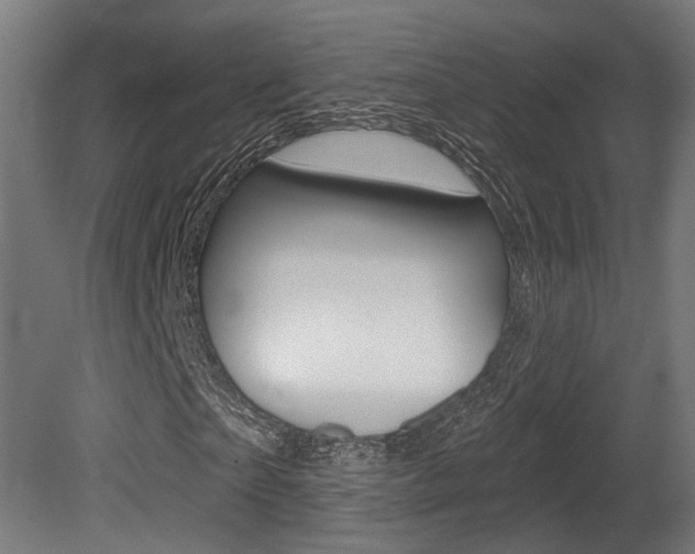 X0000081420865200701120942