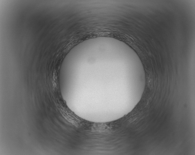 X0000081420866200701120942