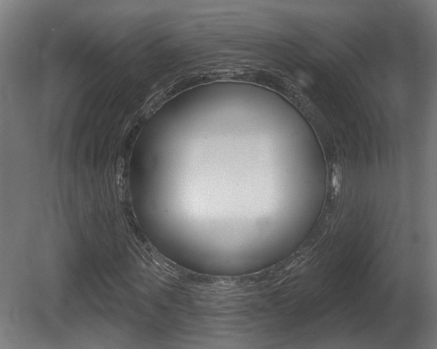 X0000081420867200701120942