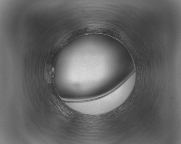 X0000081420868200701120942