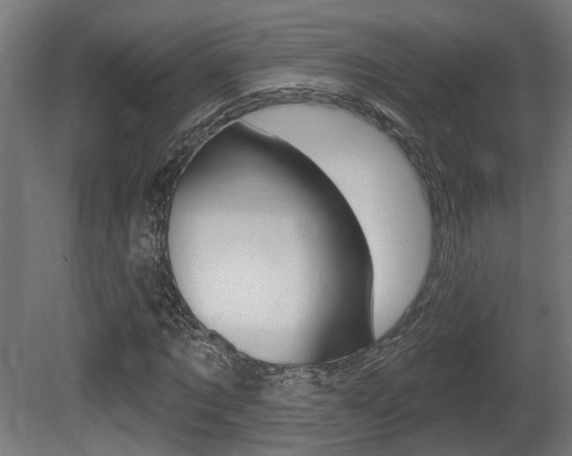 X0000081420869200701120942