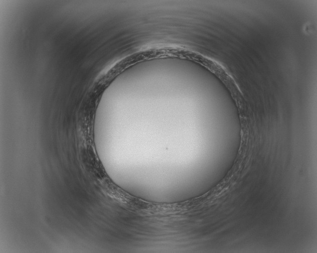 X0000081420871200701120942