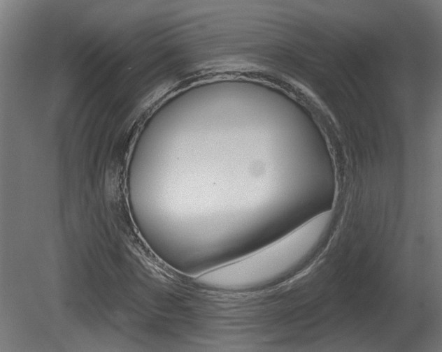 X0000081420873200701120942