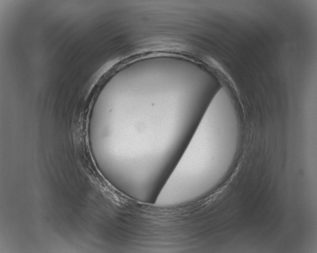 X0000081420875200701120942