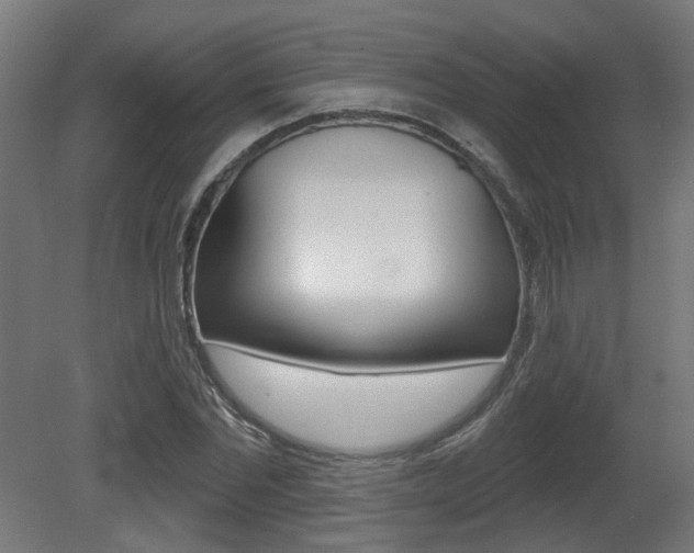 X0000081420877200701120942