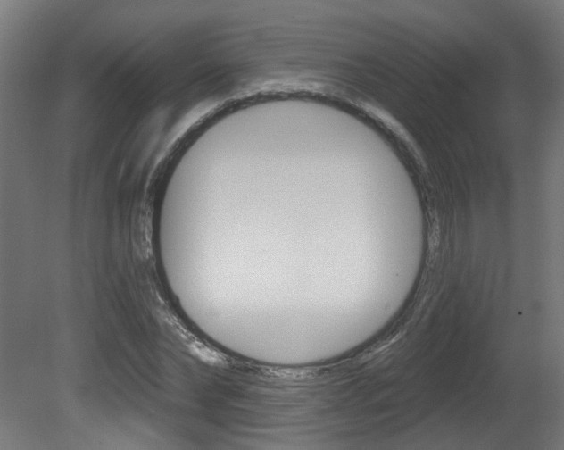X0000081420878200701120942