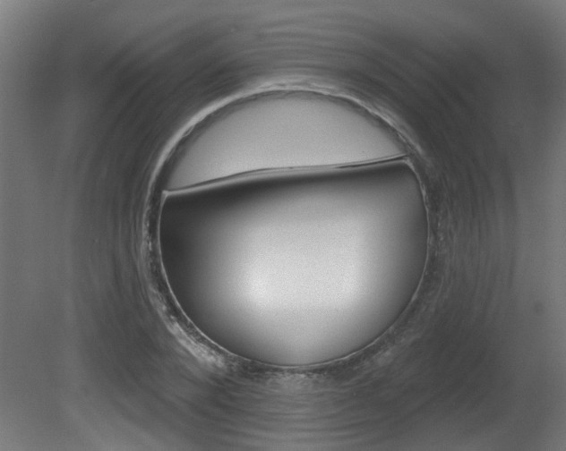X0000081420880200701120942